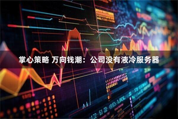 掌心策略 万向钱潮：公司没有液冷服务器